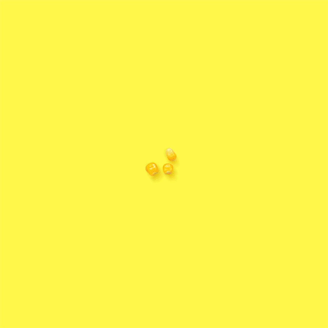 motion1